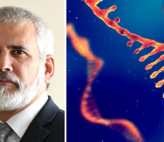Malone mRNA